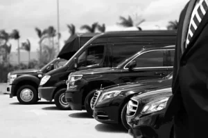 Luxury Limo and Car Service